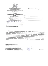 АО "ДРСК "Приморские электрические сети"