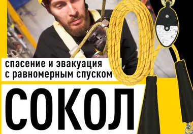 Обложка-видео-сокол