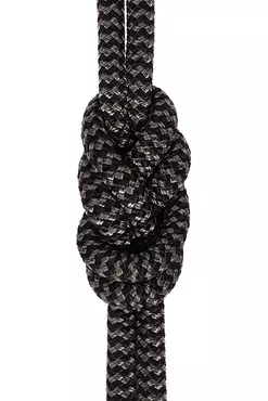 cord 8