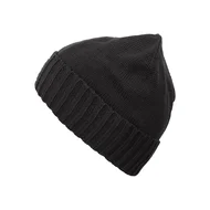 Шапка Brodeks Regular Fleece 
